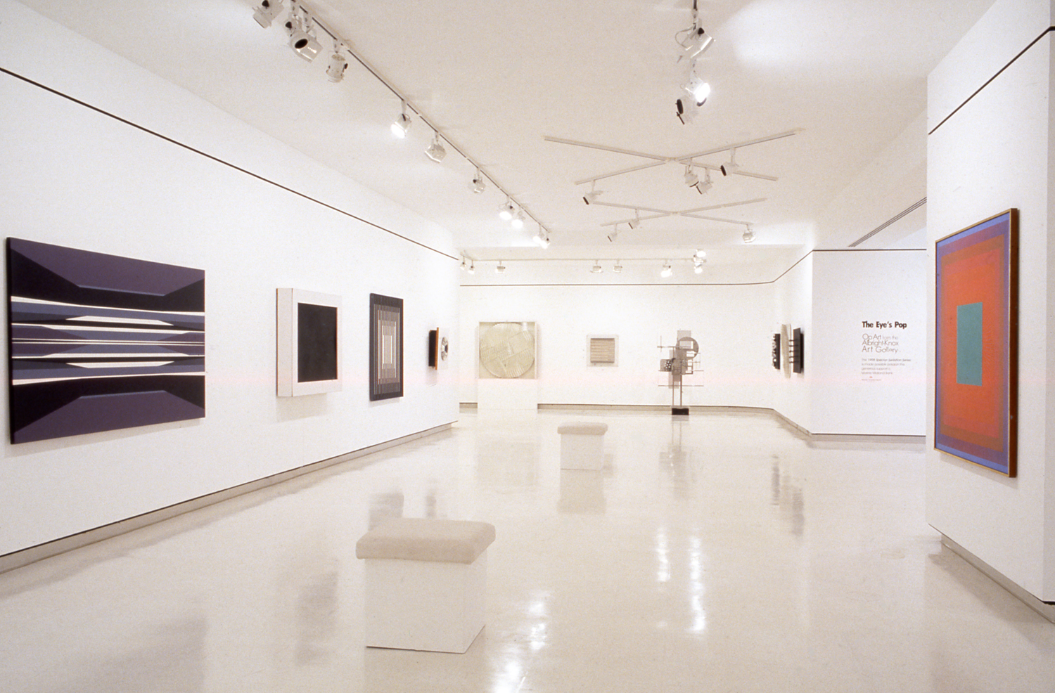 The Eye's Pop: Op Art from the Albright-Knox Art Gallery | Buffalo