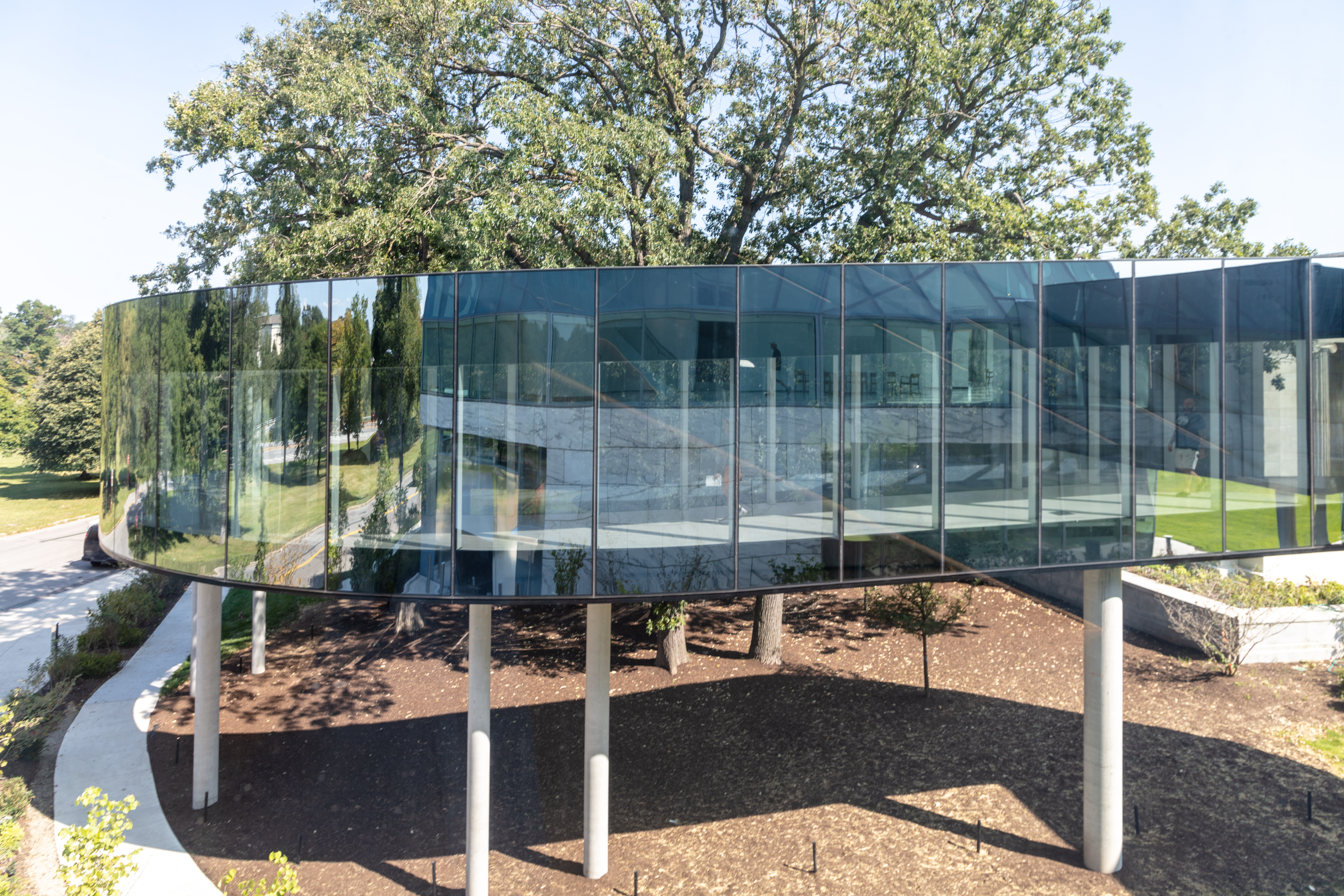 A glass bridge with a tree behind it 