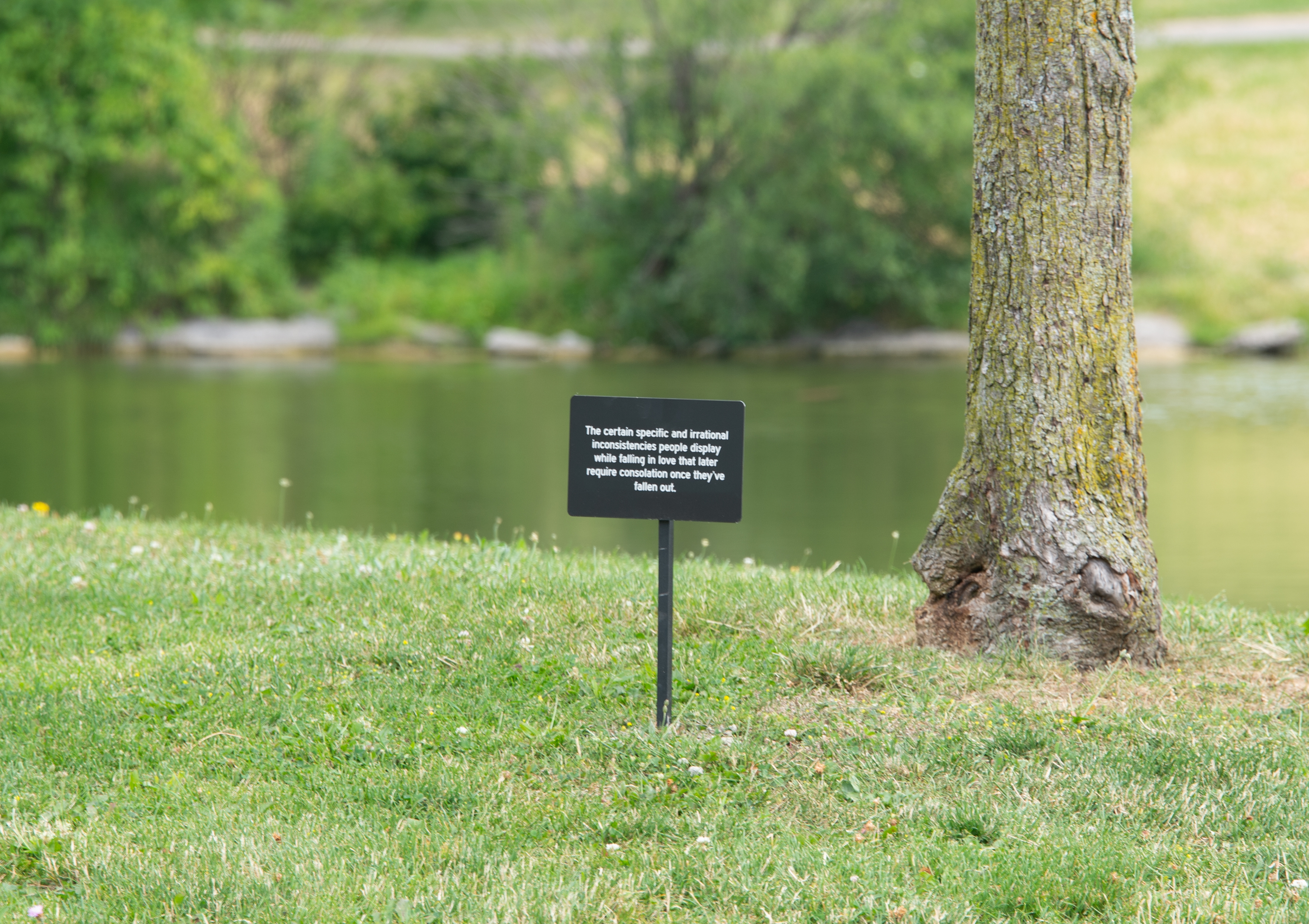 A small sign that reads "The certain specific and irrational inconsistencies people display while falling in love that later require consolation once they’ve fallen out. "