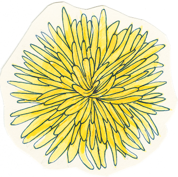 Hand-drawn yellow flower