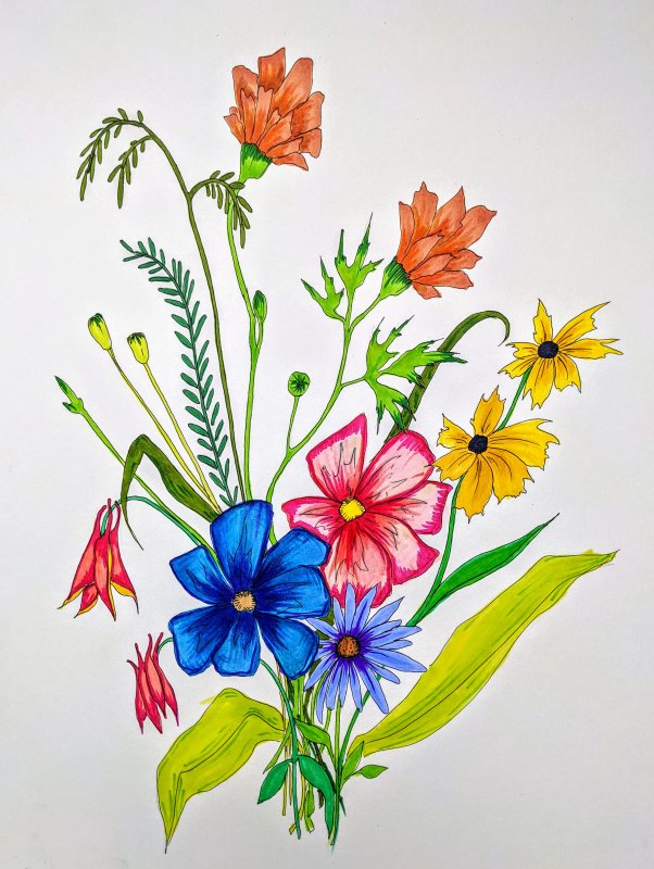 A drawing of various wildflowers in different shades such as pink, blue and yellow
