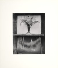 Fiftieth Anniversary Portfolio