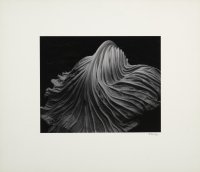 Fiftieth Anniversary Portfolio