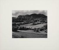 Fiftieth Anniversary Portfolio