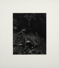 Fiftieth Anniversary Portfolio
