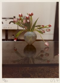 Twenty Photographic Pictures