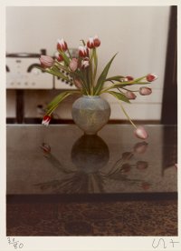 Pretty Tulips - February 1970 from the portfolio Twenty Photographic Pictures