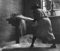 Untitled (Sisal worker, Yucatan) from the series Early Mexico, 1953-1961