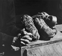 Untitled (Hands and seaweed, Isla de Chiloé) from the series Chile, 1967