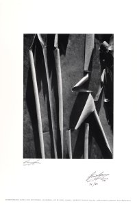 Madrone Bark, Santa Cruz Mountains, California from Presidential Portfolio