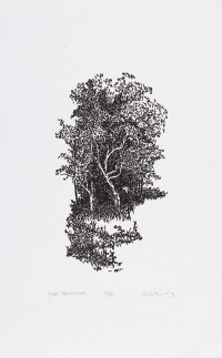 BFA Printmakers State University College at Buffalo, Buffalo, New York