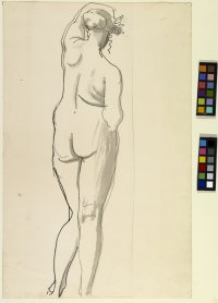 Standing Nude