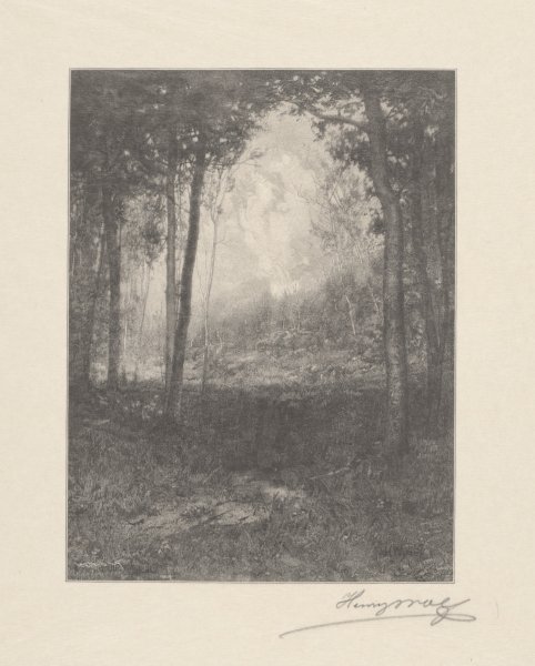 Landscape