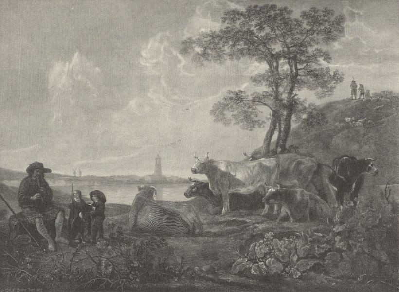 Landscape and Cattle