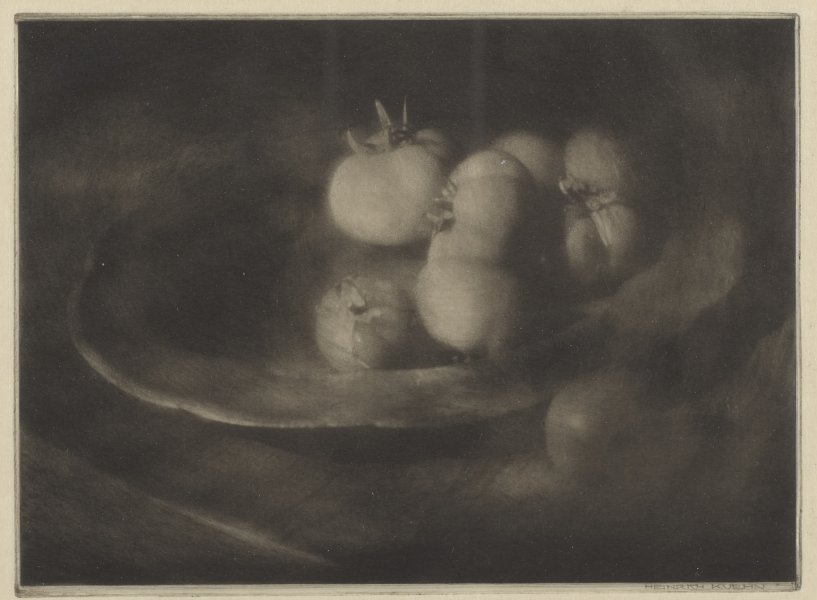 Catalogue of the International Exhibition, Pictorial Photography