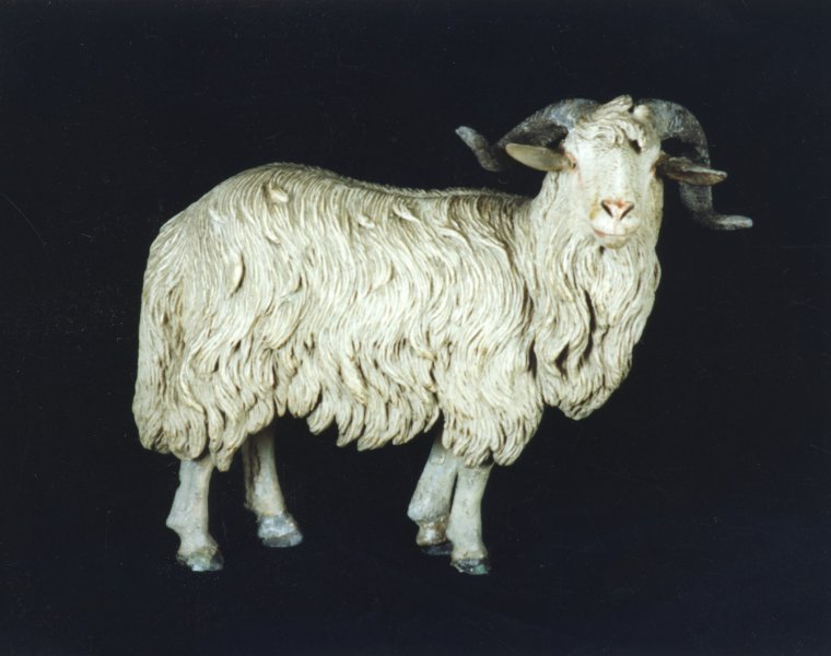 Ram from Crèche
