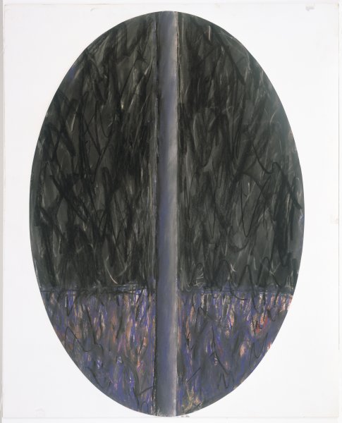 Oval Drawing