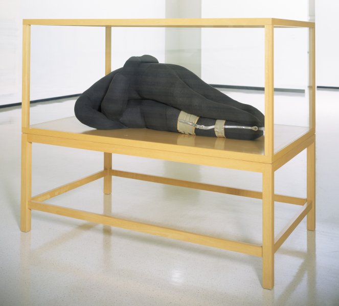 Negicco Falling Stars 廃盤　新品未開封 Falling Stars | Buffalo AKG Art Museum