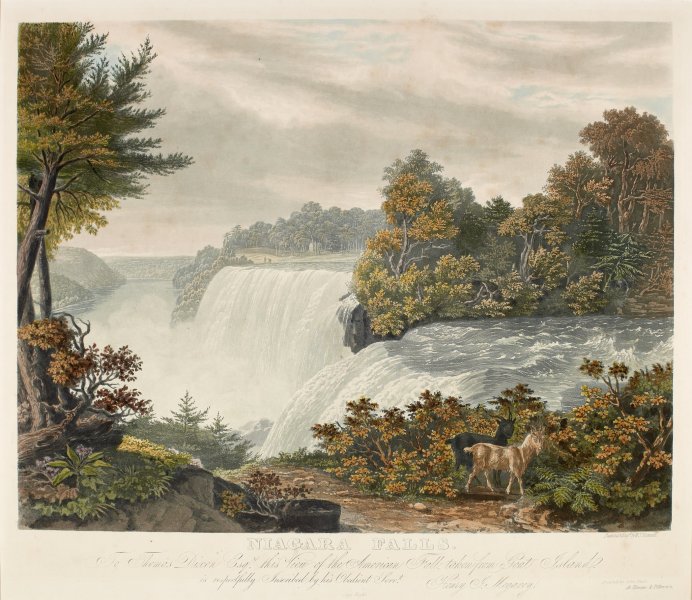 Niagara Falls - View of the American Falls From Goat Island