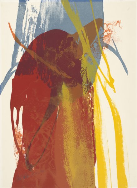 Red Parrot