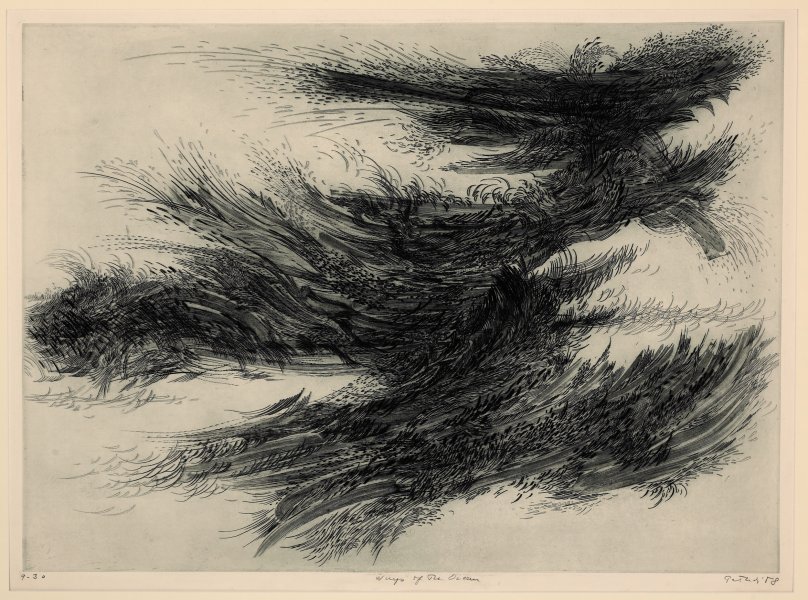 The Wings of the Ocean