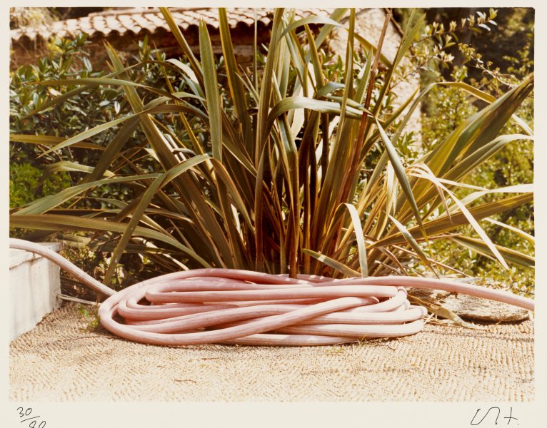 Pink Hose - May 1974 from the portfolio Twenty Photographic Pictures