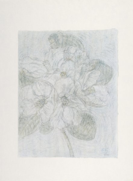 Rhododendrons from the portfolio Blossoms and Flowers