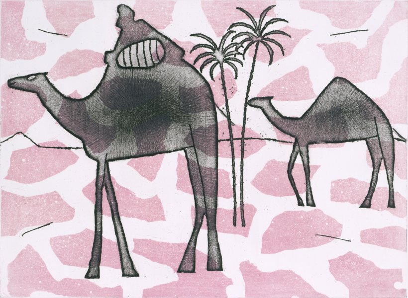 Camels