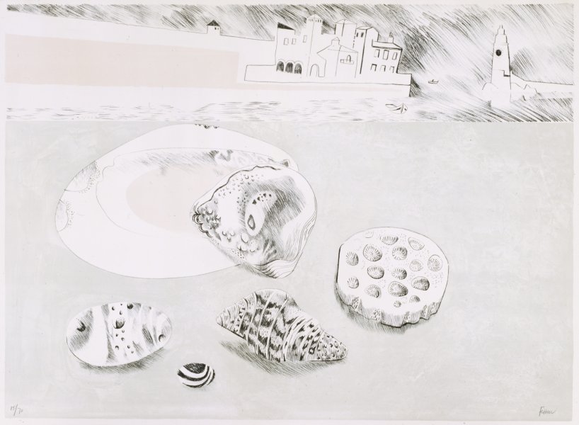 Shells and Pebbles