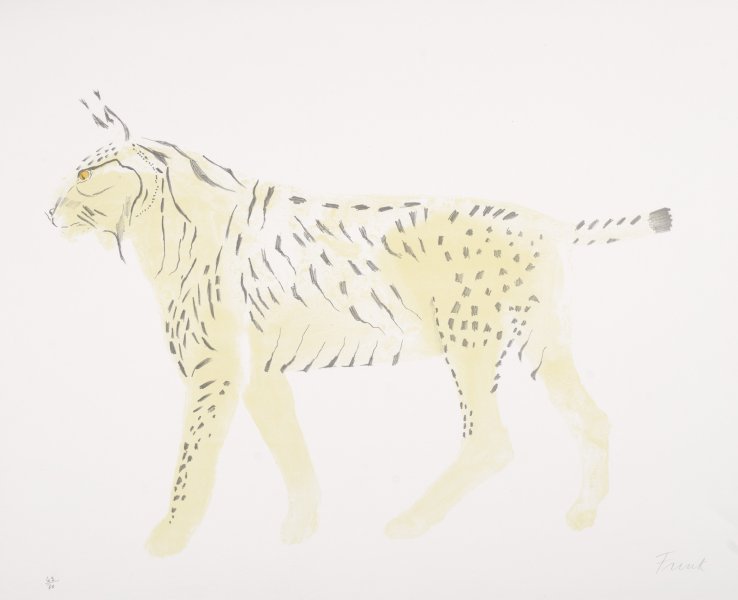 Lynx from the series Wild Animals