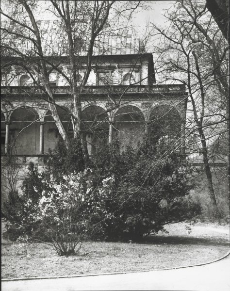 [Three gelatin silver prints]
