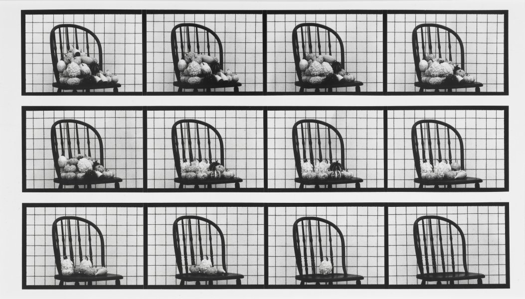 Raisin Brand Puffed Seeded Sun-Maids | Buffalo AKG Art Museum