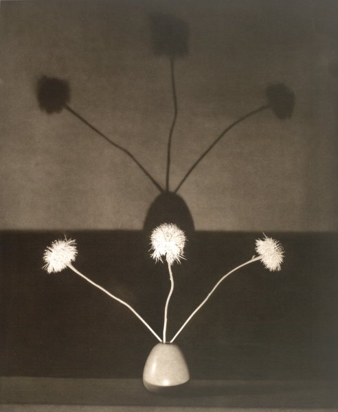 Robert Mapplethorpe | Buffalo AKG Art Museum