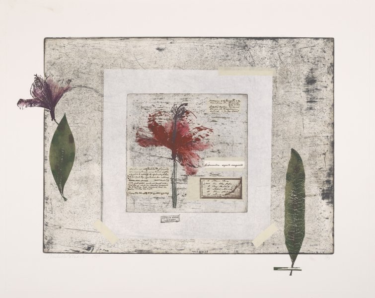 A Suite of Three Color Etchings