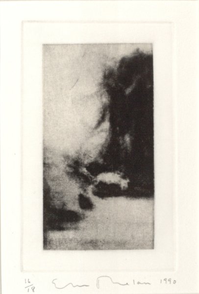 Untitled from the portfolio Garden: Amagansett