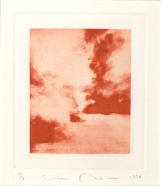 Untitled from the portfolio Garden: Amangansett