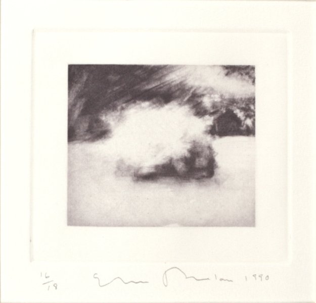 Untitled from the portfolio Garden: Amagansett