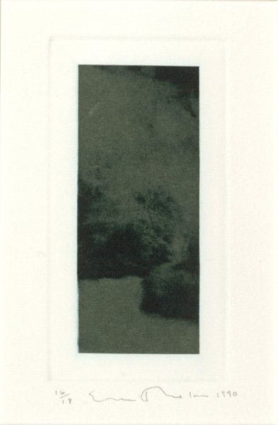 Untitled from the portfolio Garden: Amagansett