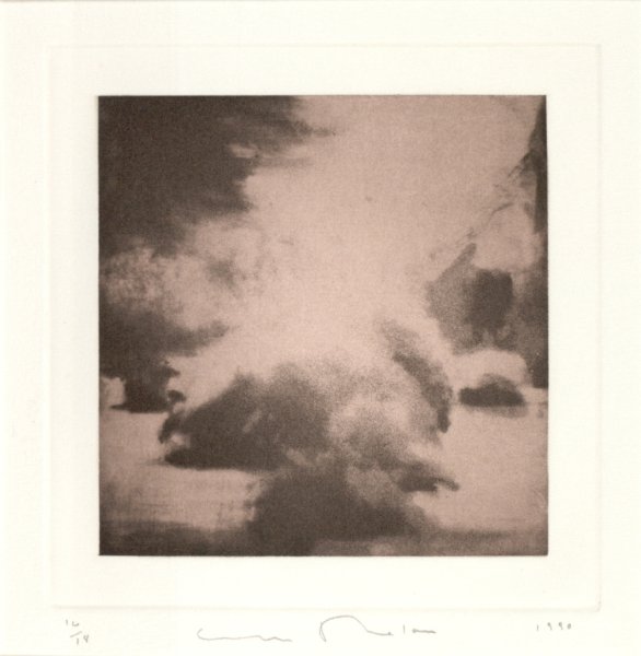 Untitled from the portfolio Garden: Armagansett