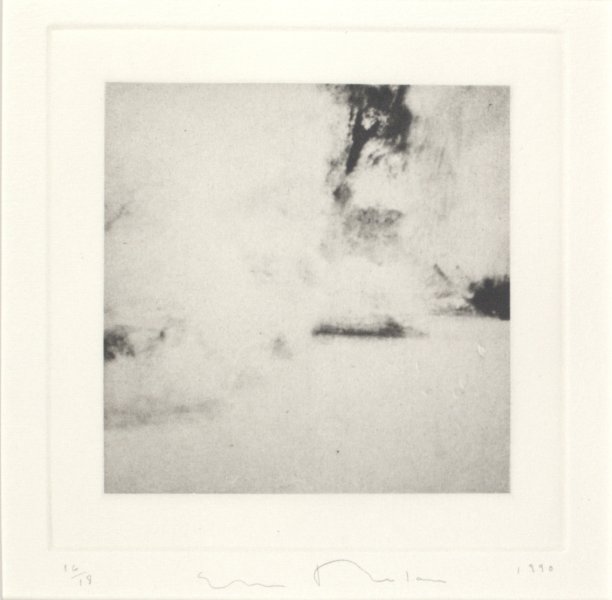 Untitled from the portfolio Garden: Armagansett