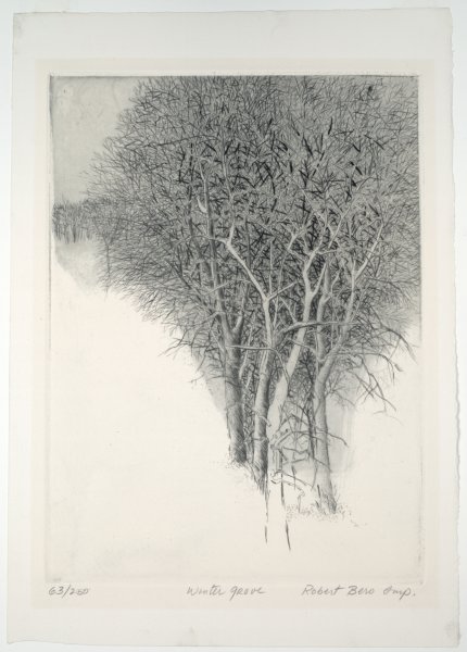 Winter Grove