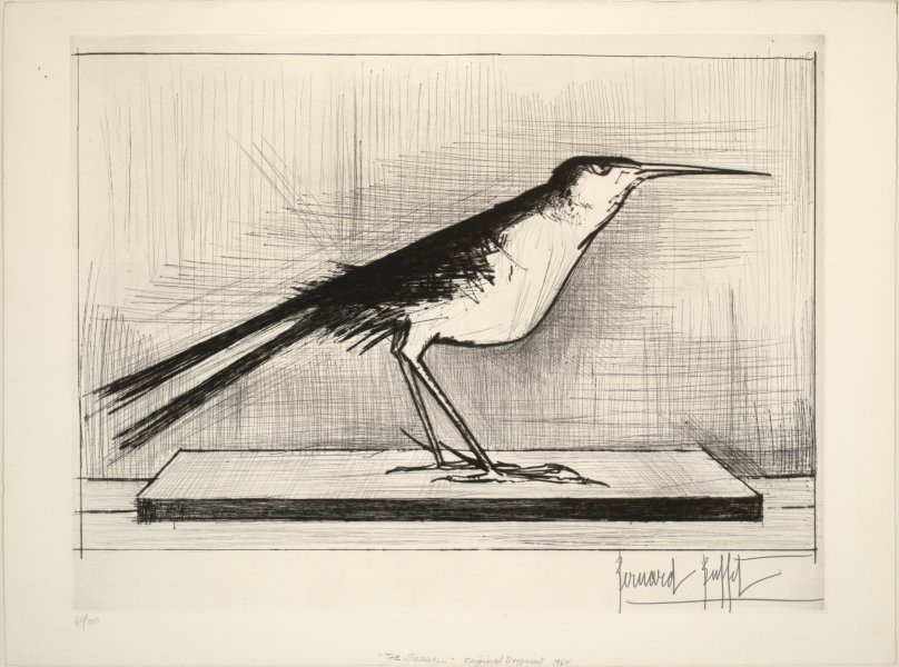 The Seagull
