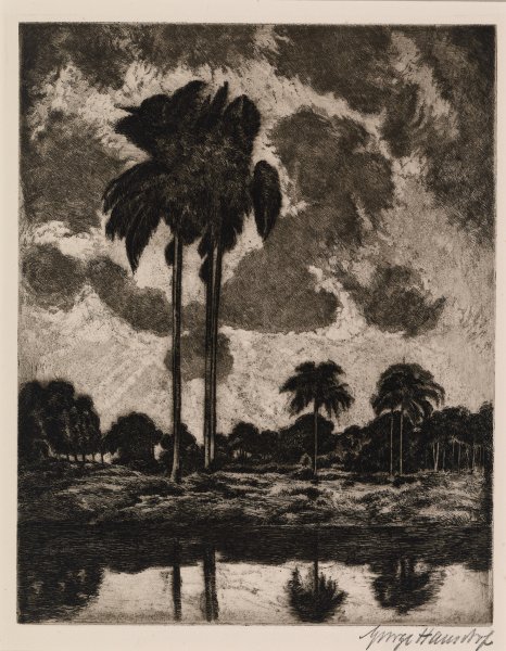Tropic Skies