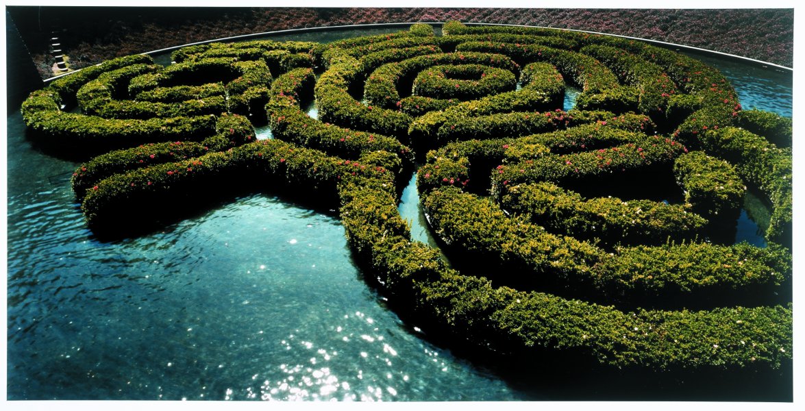 Azalea Maze, J. Paul Getty Center, Los Angeles, CA from the series Extreme Horticulture