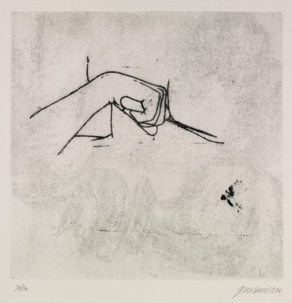 Julião Sarmento | Buffalo AKG Art Museum