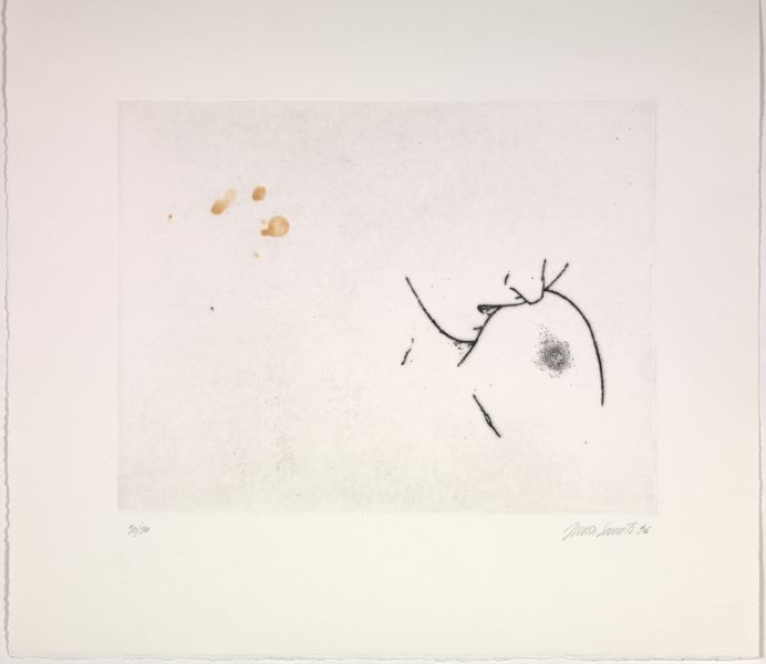 Julião Sarmento | Buffalo AKG Art Museum