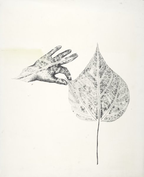 [Working proof for "Hand in Leaf"]