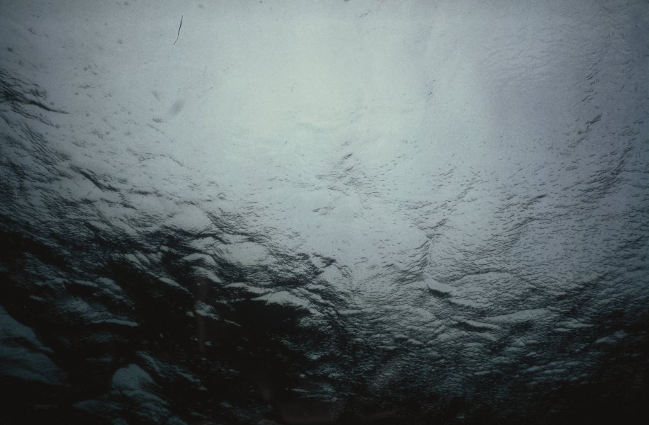 [Untitled]