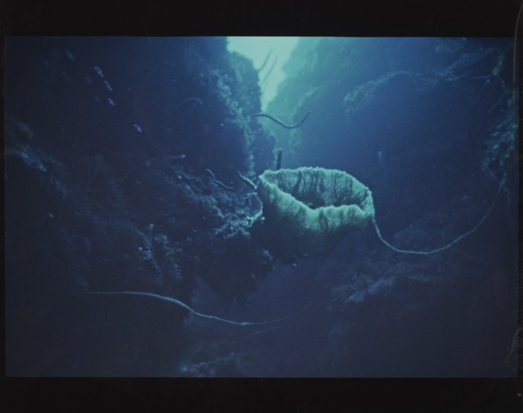 [Untitled]
