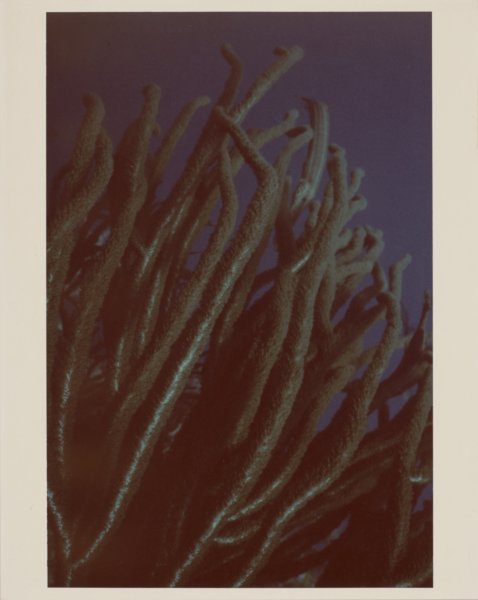[Untitled]